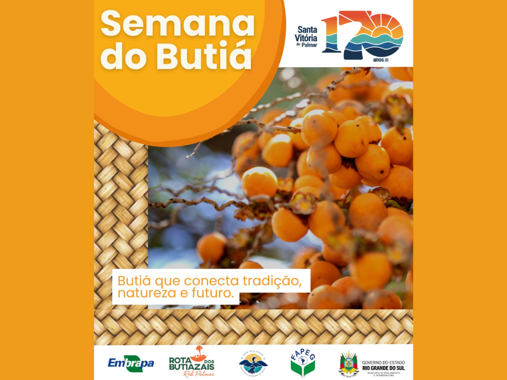 Semana do Butiá de Santa Vitória do Palmar - RS